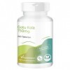 Gotu Kola 750 mg - 250 comprimés - 9000 mg de gotu kola par dose journalière - avec vitamine C et zinc - hautement dosé - vég