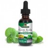 Naturals Answer Gotu Kola Extrait 2000 mg 30 ml