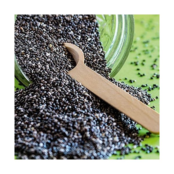 GreatVita Graines de chia, 1 x 4000g naturelles sans OGM