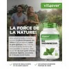 Ortie bio - 240 gélules - fortement dosé avec 1000mg par portion journalière - extrait dortie 10:1 de qualité biologique cer