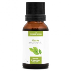 Orme BIO - 15mL - Ulmus Campestris – Macérat concentré de bourgeons frais Grande ortie
