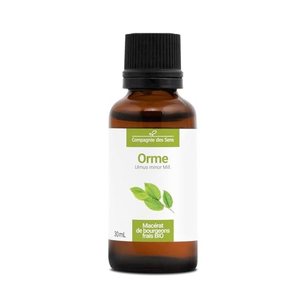 Orme BIO - 15mL - Ulmus Campestris – Macérat concentré de bourgeons frais Grande ortie