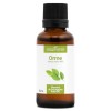 Orme BIO - 15mL - Ulmus Campestris – Macérat concentré de bourgeons frais Grande ortie