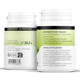 Ortie partie aérienne Biologique | 630 mg/jour | Urtica dioica | Certifié Ecocert | 100 Gélules