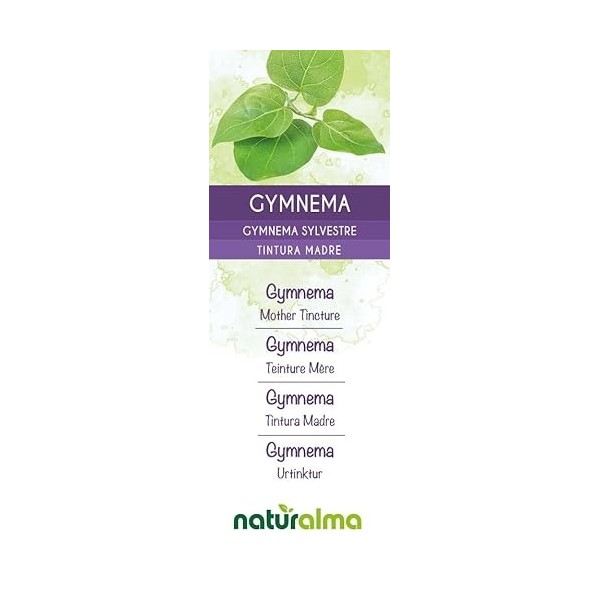 Gymnema Gymnema sylvestre ou Marsdenia sylvestris feuilles Teinture Mère sans alcool Naturalma - Extrait liquide gouttes 60 G...