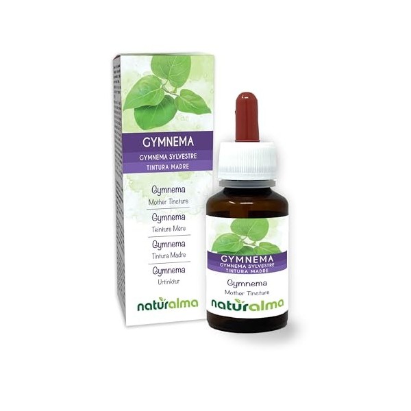 Gymnema Gymnema sylvestre ou Marsdenia sylvestris feuilles Teinture Mère sans alcool Naturalma - Extrait liquide gouttes 60 G...