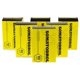 6x Somatodrol Dietary Supplement Masse et Force pour les Muscles