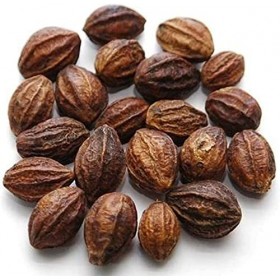 AOZA Valli Organics® Kadukkai | Haritaki | Myrobalan | Écrou dencre 100 g