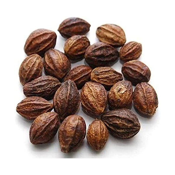 AOZA Valli Organics® Kadukkai | Haritaki | Myrobalan | Écrou dencre 100 g