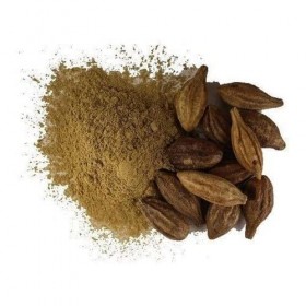 QURA Badi Harad Poudre Haritaki naturelle 100 g