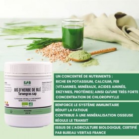 SFB Laboratoires - Jus dHerbe de Blé Bio en Poudre - Stimule le Système Immunitaire - Favorise la Digestion - Améliore lEne
