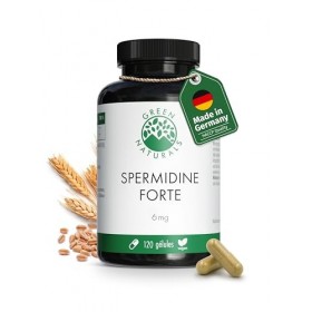 Spermidine Forte – Hautement dosé : 6 mg par capsule dextrait de germe de blé – Testé en laboratoire – 120 gélules Green Nat