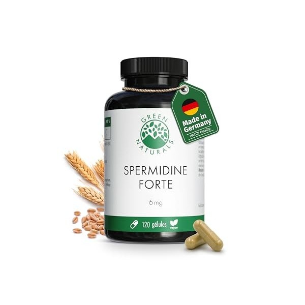 Spermidine Forte – Hautement dosé : 6 mg par capsule dextrait de germe de blé – Testé en laboratoire – 120 gélules Green Nat