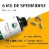 Spermidine Forte – Hautement dosé : 6 mg par capsule dextrait de germe de blé – Testé en laboratoire – 120 gélules Green Nat