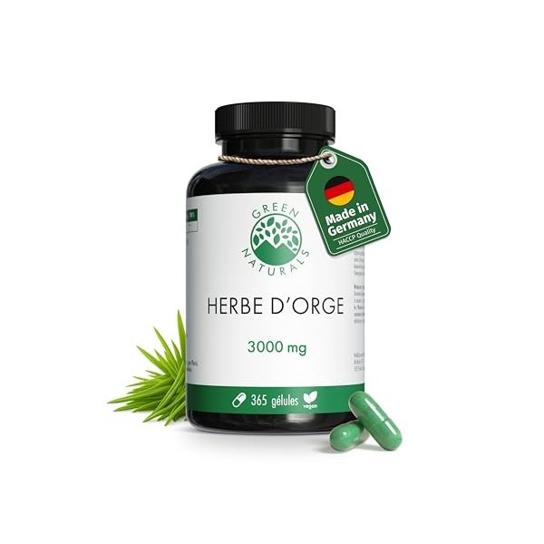 Herbe dorge gélules naturelles et pures - Dosage élevé: 3.000 mg avec extrait 10:1-365 capsules 3 mois - Qualité premium d