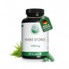 Herbe dorge gélules naturelles et pures - Dosage élevé: 3.000 mg avec extrait 10:1-365 capsules 3 mois - Qualité premium d