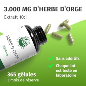 Herbe dorge gélules naturelles et pures - Dosage élevé: 3.000 mg avec extrait 10:1-365 capsules 3 mois - Qualité premium d