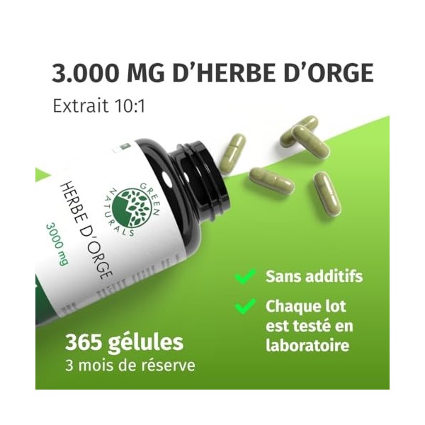 Herbe dorge gélules naturelles et pures - Dosage élevé: 3.000 mg avec extrait 10:1-365 capsules 3 mois - Qualité premium d