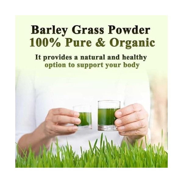 SBG – Poudre dherbe dorge, poudre dherbe dorge, poudre de jus dorge 100 % pure et biologique, poudre de jus dherbe dor Herbe ...