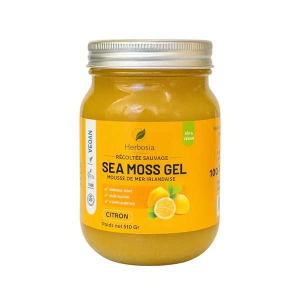 HERBOSIA Sea Moss Gel Irlandais 100% Naturel – Mousse de Mer Sauvage – Vegan – Texture Onctueuse – 510g Citron Kelp