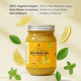 HERBOSIA Sea Moss Gel Irlandais 100% Naturel – Mousse de Mer Sauvage – Vegan – Texture Onctueuse – 510g Citron Kelp