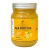 HERBOSIA Sea Moss Gel Irlandais 100% Naturel – Mousse de Mer Sauvage – Vegan – Texture Onctueuse – 510g Citron Kelp