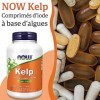 Now Foods, Kelp Varech , 150 mcg, 200 Comprimés, Testé en Laboratoire, Iode Naturel, Sans Soja, Sans Gluten, Végétarien