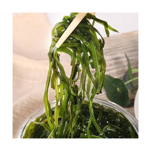 Dried cooked Kombu,kombu,seaweed,kelp noodles 200g 