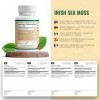 DW Irish Sea Moss Capsules | 120 Complements Mousse de Mer d Irlande - 1200 mg Seamoss Haute Teneur par Portion | Sans OGM S ...
