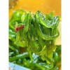 200 g Wakame tige dalgues salade wakame bande wakame tiges 2 Kelp