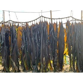 Laminaria Japonica Feuille dalgues séchées pour algues, kombu, flocons de varech, feuilles dalgues 1000 g 