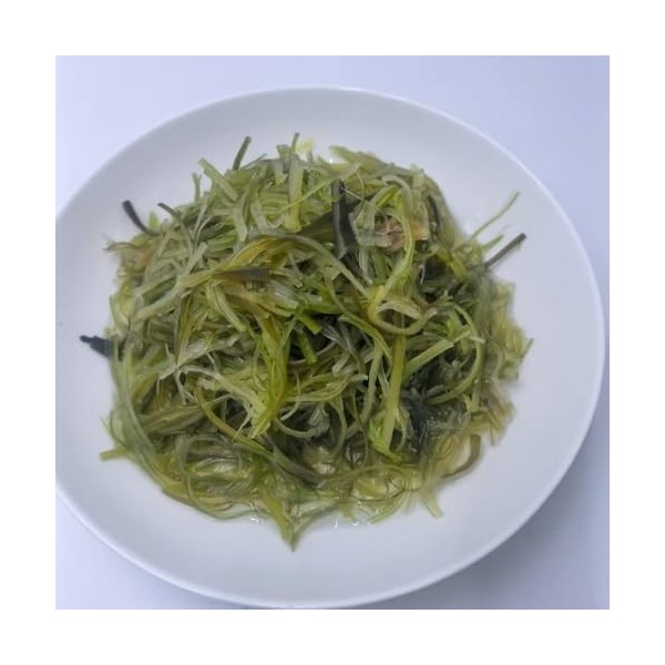 Green Alage Bande dalgues séchées à fort gonflement 400 g/sac