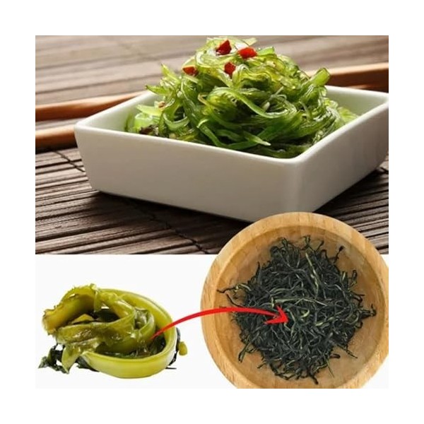 Green Alage Bande dalgues séchées à fort gonflement 400 g/sac