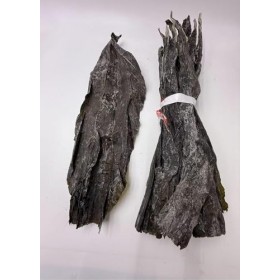 Bandes dalgues séchées - Bio, crues 2 