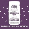 Complément Riz Rouge Fermenté et Moringa BIO | Complément pour Triglycérides 100% Naturel | Coenzyme Q10, Fenugrec, Monacolin