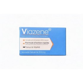 Viazene – Complément Alimentaire Énergie & Vitalité Homme – Ginseng Panax, Maca, Ashwagandha – Tonus, Endurance, Performance 