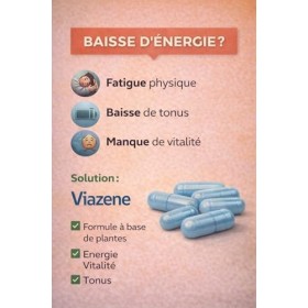 Viazene – Complément Alimentaire Énergie & Vitalité Homme – Ginseng Panax, Maca, Ashwagandha – Tonus, Endurance, Performance 