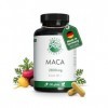 Maca 3-en-1-Complexe Noir-Rouge-Or – Haute Dosage : 112.000 mg Poudre de Maca 2.800 mg Extrait 40:1 – Stock pour 2 Mois –