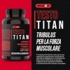 Testostérone Homme Fort 120 Gélules | Complexe avec Ashwagandha, Maca Péruvienne, L-Arginine, Tribulus Terrestris et Zinc - C