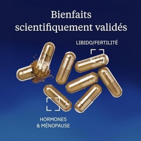 Maca BIO du Pérou ultra concentrée 11:1 - Vitalité, libido, tonus & équilibre - Extrait totum Full Spectrum sans alcaloïdes -