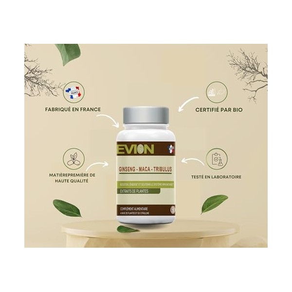 EVION - Maca - Ginseng & Tribulus - Complément alimentaire, BOOSTER LÉNERGIE ET SOUTENIR LE SYSTÈME IMMUNITAIRE - 60 Gélules