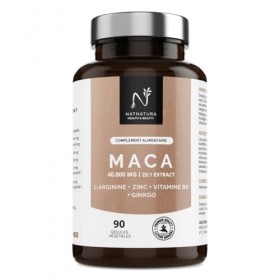 Maca Andina Ultra Concentrée 40.000 mg/jour 25:1 | L-Arginine, Zinc, Vit. B6 & Ginkgo – Énergie, Vitalité & Puissance Personn