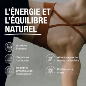 Maca Andina Ultra Concentrée 40.000 mg/jour 25:1 | L-Arginine, Zinc, Vit. B6 & Ginkgo – Énergie, Vitalité & Puissance Personn