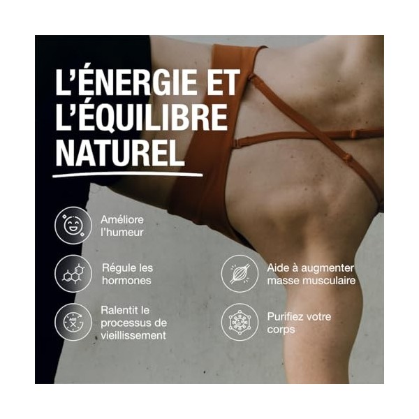 Maca Andina Ultra Concentrée 40.000 mg/jour 25:1 | L-Arginine, Zinc, Vit. B6 & Ginkgo – Énergie, Vitalité & Puissance Personn