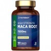 Maca Root 7500 mg | Supplément de racine de maca péruvienne haute résistance | 180 comprimés végétaliens pas de capsules | 