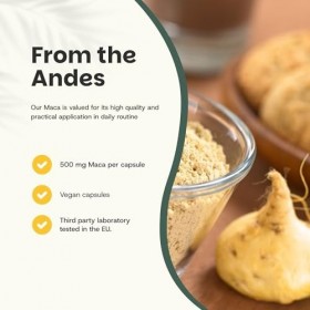 Cupplement | Maca Capsules 100 pièces | Biologique | 500 mg par capsule de la plus haute qualité