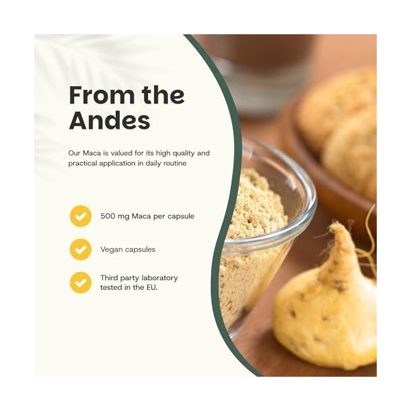 Cupplement | Maca Capsules 100 pièces | Biologique | 500 mg par capsule de la plus haute qualité