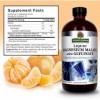 Malate de magnésium liquide et glycinate 200 mg - Favorise la santé des os et des muscles - 480 ml