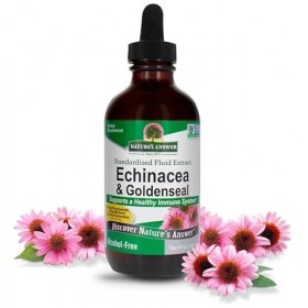 Naturals Answer EcinacceRoot & Golden Seal, sans alcoho, 120 ml