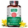 Millepertuis - 550 mg de Millepertuis par Gélule - Hautement Concentré en Hypéricine - Humeur & Sommeil - 180 Gélules Véganes